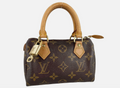 Louis Vuitton Nano Speedy Monogram Canvas